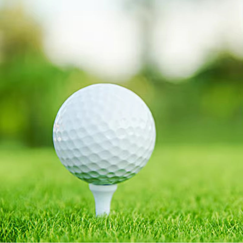 Wholesale Custom Logo 2 Layers Golf Ball 2 Piece Practice Golf Balls for Golf Driving Range